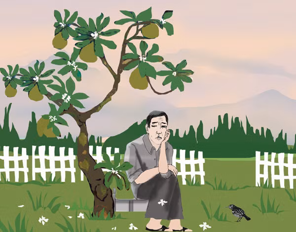 Minh họa: HUYỀN TRANG