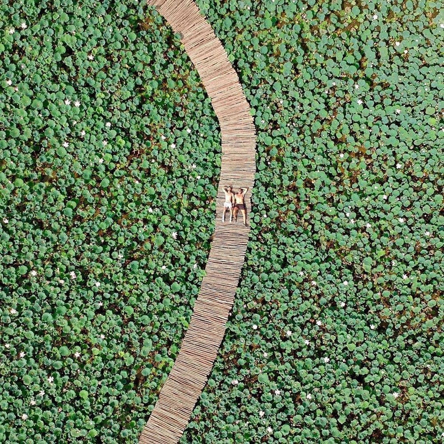 Con đường tuy tạo tác đơn giản trải dài theo hình trái tim giữa hồ sen nhưng vô cùng duyên dáng Con đường tuy tạo tác đơn giản trải dài theo hình trái tim giữa hồ sen nhưng vô cùng duyên dáng