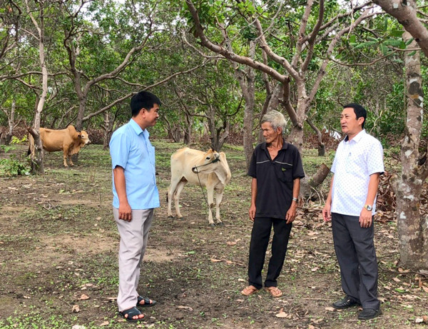 Lãnh đạo xã Ia Púch (huyện Chư Prông) tham quan vườn điều của gia đình ông Rơ Mah Hỹh. Ảnh: A.H Lãnh đạo xã Ia Púch (huyện Chư Prông) tham quan vườn điều của gia đình ông Rơ Mah Hỹh. Ảnh: A.H