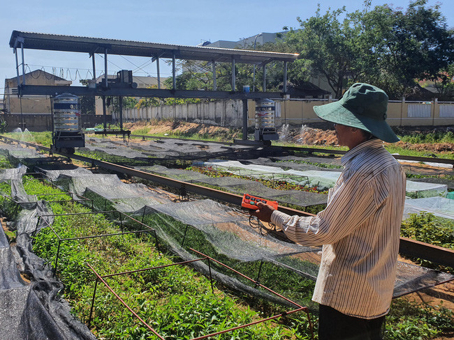  Mô hình trồng rau sạch ứng dụng máy móc thiết bị kỹ thuật của gia đình ông Toàn.