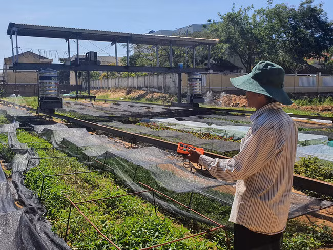  Mô hình trồng rau sạch ứng dụng máy móc thiết bị kỹ thuật của gia đình ông Toàn.