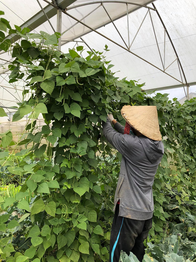 Dù mỗi ngày phải làm việc bù đầu từ sáng sớm đến tận đêm, nhưng Thịnh vẫn vui và thấy hạnh phúc Ảnh: XUÂN TRƯỜNG