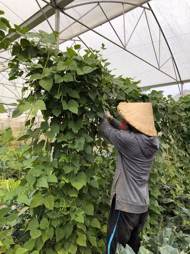 Dù mỗi ngày phải làm việc bù đầu từ sáng sớm đến tận đêm, nhưng Thịnh vẫn vui và thấy hạnh phúc Ảnh: XUÂN TRƯỜNG