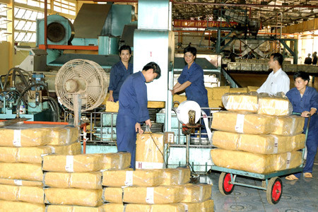 Ảnh: Đức Thụy