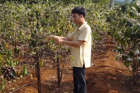  Ảnh: Nguyễn Hồng