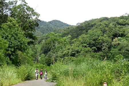 Rừng Kbang. Ảnh: Đức Thụy