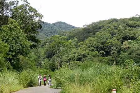 Rừng Kbang. Ảnh: Đức Thụy