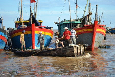 Ảnh minh họa. Ảnh minh họa.