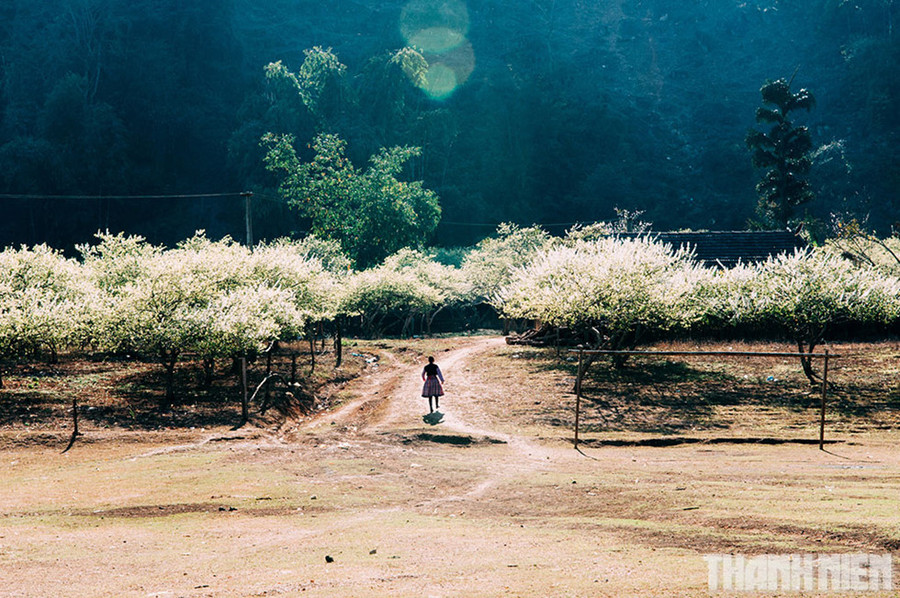  Những bản làng trong nắng chiều