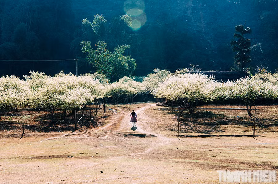  Những bản làng trong nắng chiều