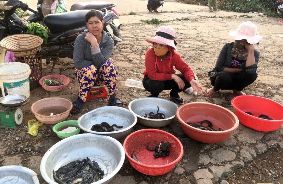 Cá, lươn, ếch đồng được các chị đưa ra chợ chiều Chư Á bán ngày mùng 2 Tết. Ảnh: Lê Hòa