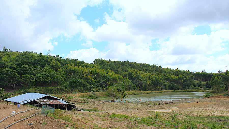 Một góc trang trại của gia đình ông Long. Ảnh: Mộc Trà
