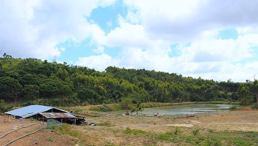 Một góc trang trại của gia đình ông Long. Ảnh: Mộc Trà