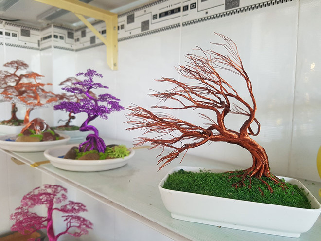 Những cây bonsai do anh Ngọc Anh sáng tạo - Ảnh: Tấn Đạt Những cây bonsai do anh Ngọc Anh sáng tạo - Ảnh: Tấn Đạt