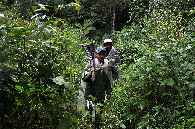  Nhóm thanh niên trong làng mang đồ đạc, bẫy lên đường đi săn chuột “quý tộc” những ngày cuối năm.