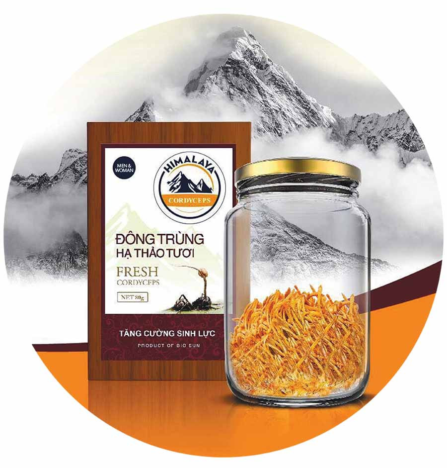 Sản phẩm đông trùng hạ thảo tươi nuôi cấy trên tổ yến của anh Trần Huy Khoa. Ảnh: V.H Sản phẩm đông trùng hạ thảo tươi nuôi cấy trên tổ yến của anh Trần Huy Khoa. Ảnh: V.H