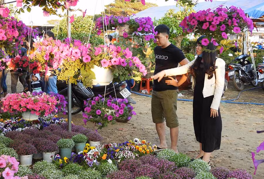  Chợ hoa xuân tại thành phố Pleiku. Ảnh: T.N