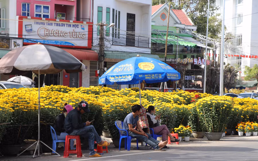 Lượng người mua ít, các chủ hàng hoa giết thời gian bằng cách lướt điện thoại. Ảnh: Ngọc Minh