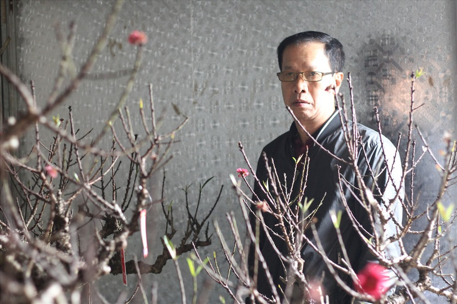  Nhiều khách sành chơi đã đến ngắm những cây đào Thất Thốn để chơi dịp Tết.