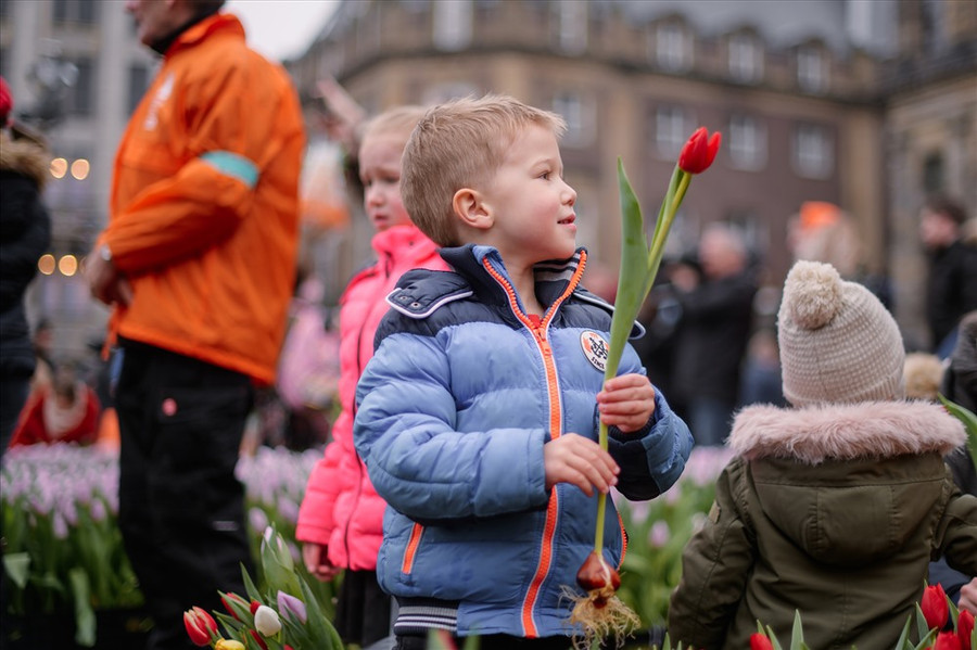  Các em bé cũng hào hứng chọn hoa. Ảnh: Holland-explorer.com 