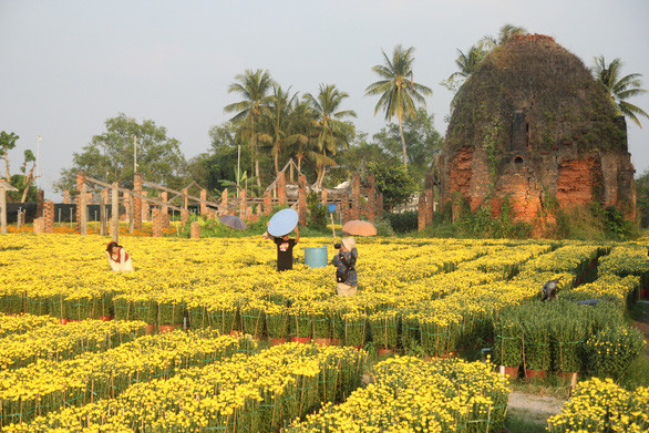 Nơi đây trở thành điểm chụp hình lý tưởng của các bạn trẻ - Ảnh: MẬU TRƯỜNG