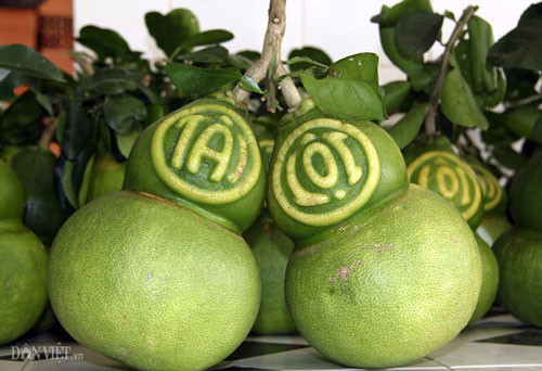 Một bộ phận người tiêu dùng đang lùng mua trái cây giá bạc triệu để chưng, biếu Tết Ảnh: PHƯƠNG AN
