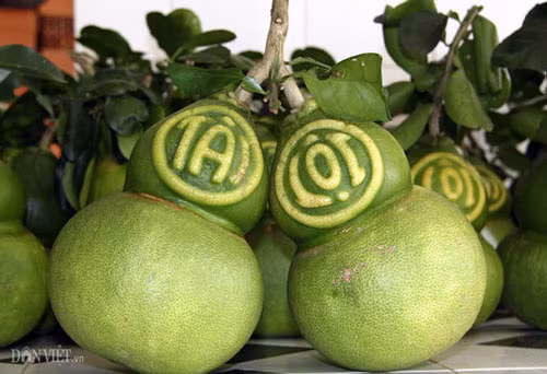 Một bộ phận người tiêu dùng đang lùng mua trái cây giá bạc triệu để chưng, biếu Tết Ảnh: PHƯƠNG AN