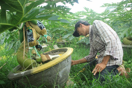 Anh Thiệt đang quét sơn cho chậu cảnh thêm phần đẹp trước khi bán ra thị trường. Ảnh:NGUYỄN TRANG