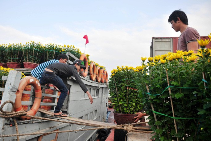 Người dân khắp nơi tranh thủ chở Tết ra Lý Sơn. Ảnh: T.Trực Người dân khắp nơi tranh thủ chở Tết ra Lý Sơn. Ảnh: T.Trực