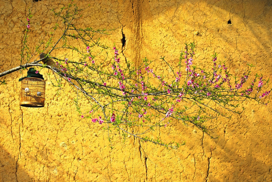 Vách đất nhà trình tường đầy chất thơ trong nắng vàng ấm áp.