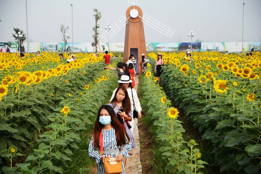  Các vườn hoa thu hút khách tham quan với mức giá từ 30 – 50.000 đồng/người - Ảnh: Hoài Nhân