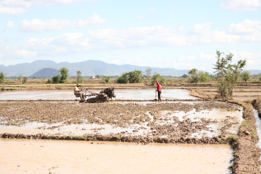  Người dân xã Chrôh Pơnan tích cực làm đất để gieo sạ lúa Đông Xuân. Ảnh: L.N