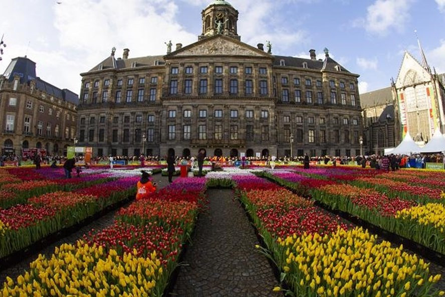  Quảng trường Dam nơi diễn ra lễ hội, hơn 200.000 bông hoa tulip đủ màu sắc được sắp xếp thành một bức tranh tuyệt đẹp rực rỡ. Ảnh: AP