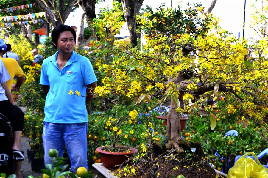  Ông chủ của bộ sưu tập mai vàng độc lạ còn khá trẻ. Ảnh: LT