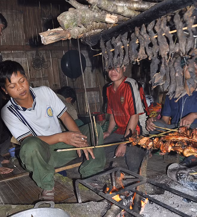 Chuột “quý tộc” được bắt về làm thịt sạch sẽ rồi gác trên bếp lửa.