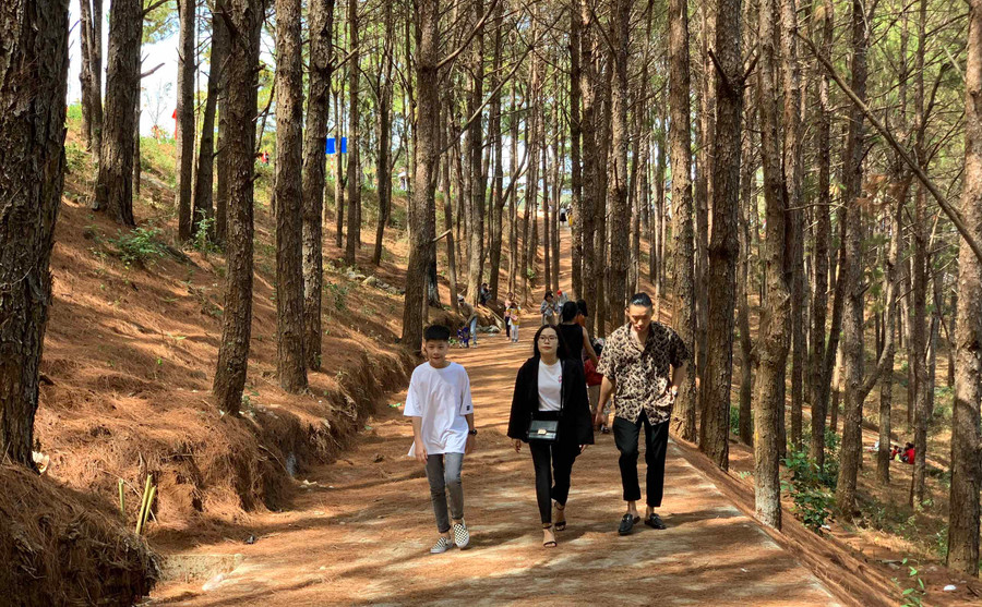 Con đường bê tông trải dài dưới hàng thông xanh khiến Biển Hồ càng hấp dẫn du khách. Ảnh: Phương Linh