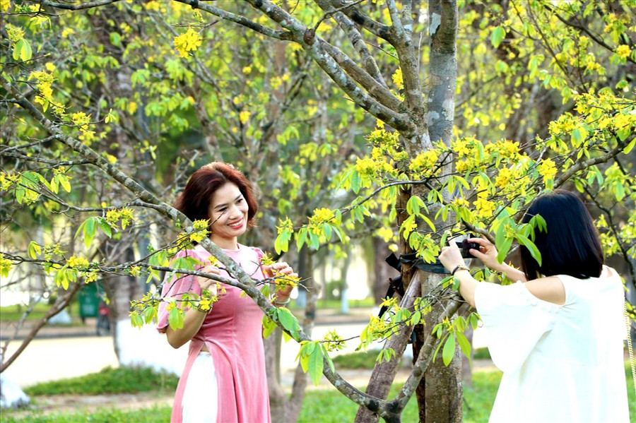 Vẻ đẹp vườn mai còn thu hút nhiều trẻ em, những người lớn tuổi. Ảnh: PĐ.  Vẻ đẹp vườn mai còn thu hút nhiều trẻ em, những người lớn tuổi. Ảnh: PĐ.