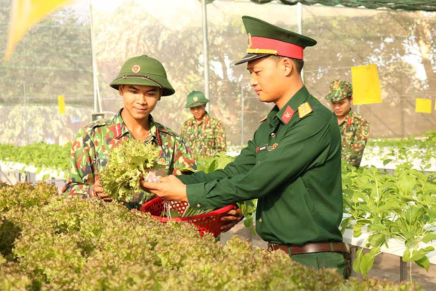 Đại úy Lê Quang Ngọc hướng dẫn các chiến sĩ về kỹ thuật trồng rau thủy canh. Ảnh: Ngọc Sang