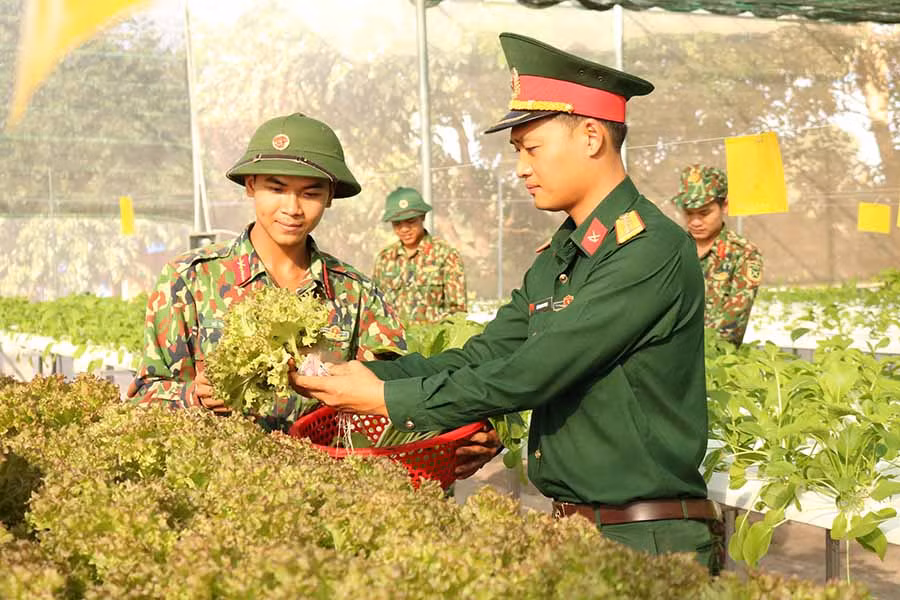 Đại úy Lê Quang Ngọc hướng dẫn các chiến sĩ về kỹ thuật trồng rau thủy canh. Ảnh: Ngọc Sang