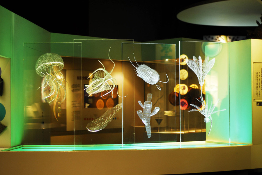 Bảo tàng Khoa học tự nhiên - Ảnh: LÊ THU QUỲNH