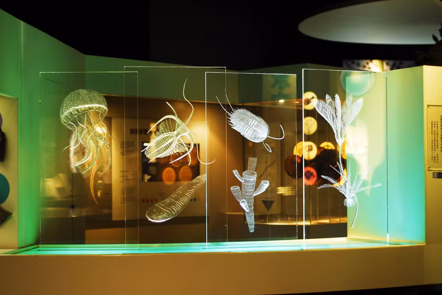 Bảo tàng Khoa học tự nhiên - Ảnh: LÊ THU QUỲNH