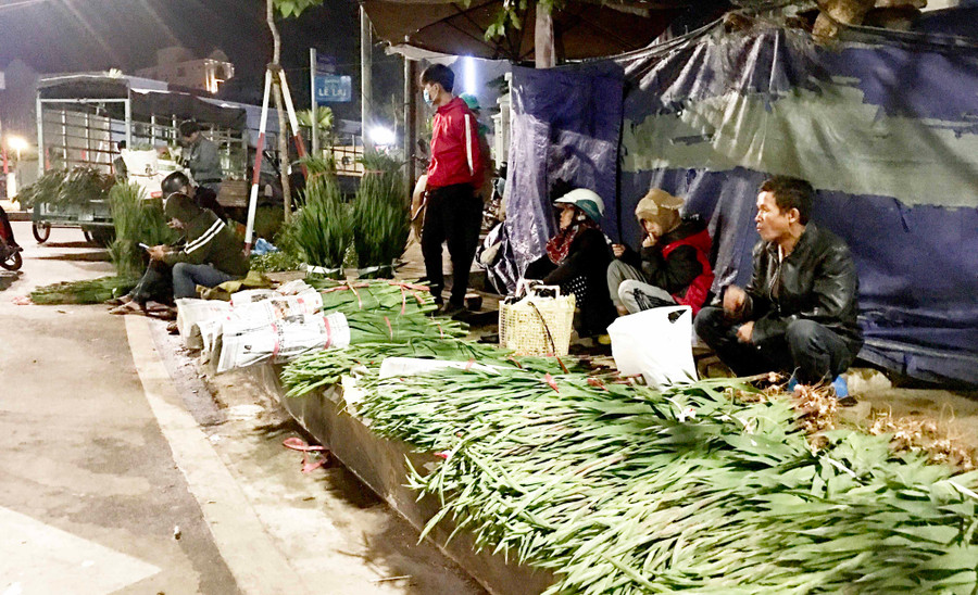 Nhiều gia đình đưa theo cả con nhỏ ra chợ bán hoa lay ơn. Ảnh: Lê Hòa