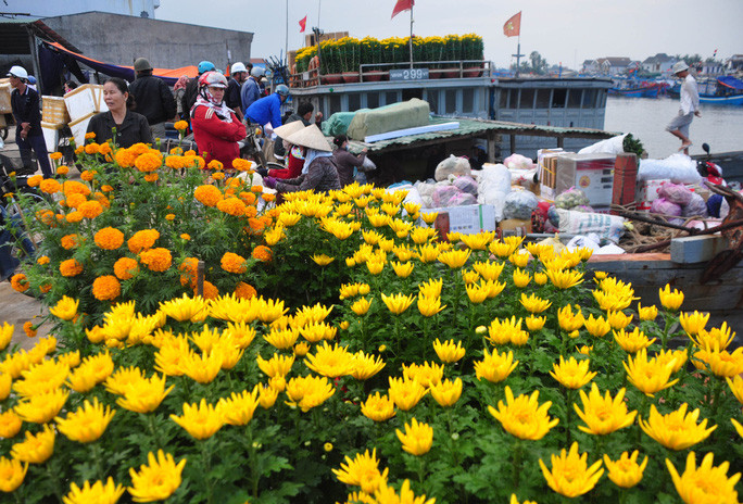 Những chậu hoa được chuẩn bị vận chuyển xuống tàu, chở ra Lý Sơn. Ảnh: T.Trực Những chậu hoa được chuẩn bị vận chuyển xuống tàu, chở ra Lý Sơn. Ảnh: T.Trực