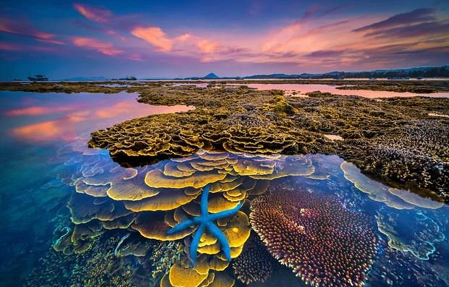 Tác phẩm Giải nhất "Sắc màu của biển" (Tác giả Trần Bảo Hòa) - Cuộc thi Ảnh nghệ thuật Du lịch toàn quốc lần thứ 8. Tác phẩm Giải nhất