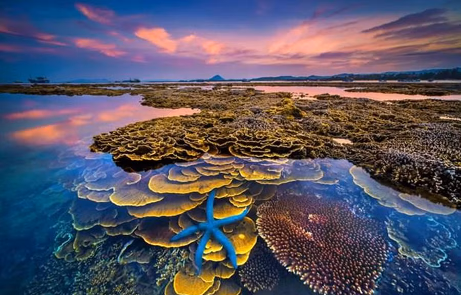  Tác phẩm Giải nhất 