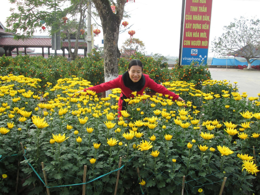 Đi giữa vườn xuân: Ảnh: Thu Thanh Đi giữa vườn xuân: Ảnh: Thu Thanh
