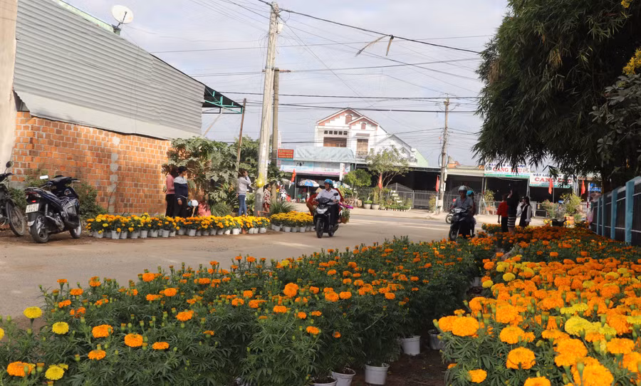 Hai bên đường vào nghĩa trang ngập tràn vạn thọ. Ảnh: Ngọc Minh