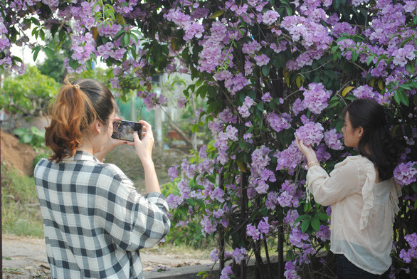 Bạn trẻ rủ nhau 