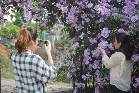 Bạn trẻ rủ nhau 