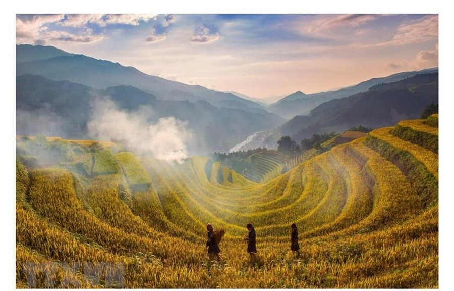 Ruộng bậc thang Mù Cang Chải vào mùa lúa chín. (Ảnh: Đỗ Tuấn Anh/TTXVN)